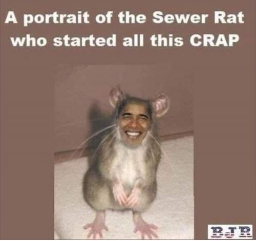 FB_IMG_1627156158274