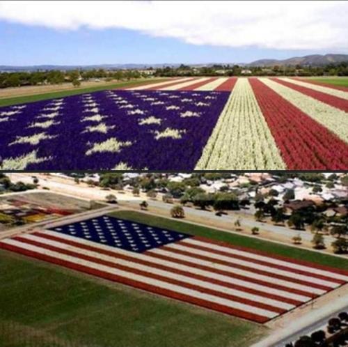 The only flag that doesn't fly