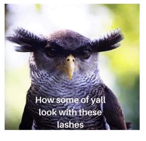 FB_IMG_1627395612218