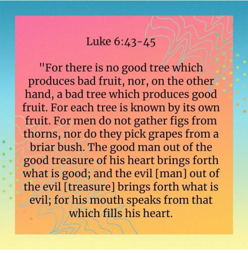 Screenshot_20210723-084821_Bible