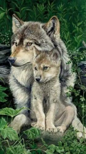 4ea735b947e3641130b22258cf4c29da