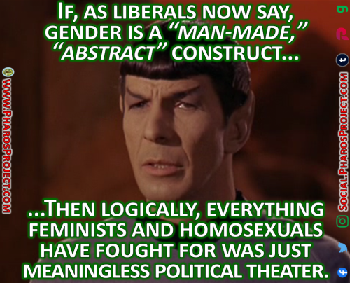 Spock - Trans-Logic - Web-Social