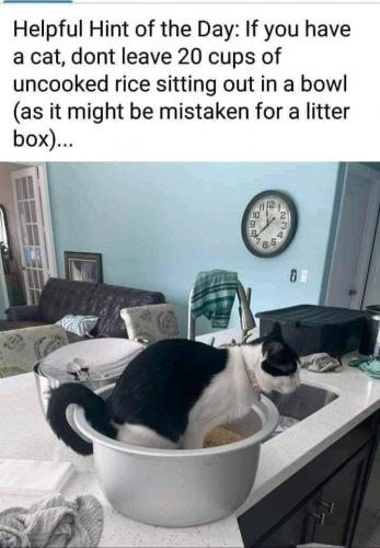 20:00:37 GMT-0400 (EDT)