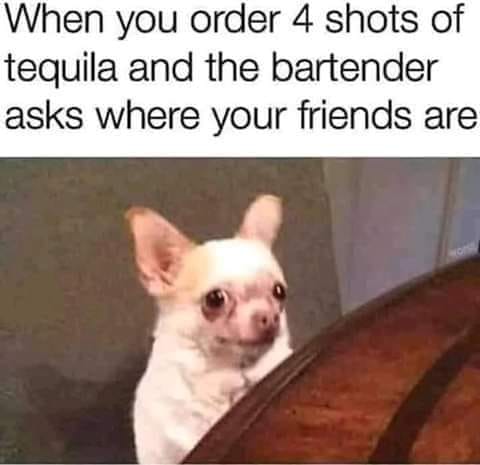booze 4 shots