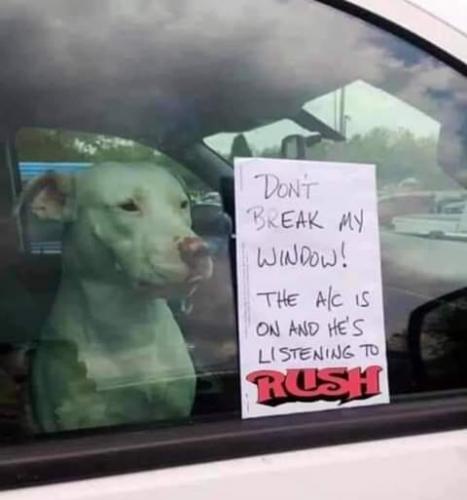 FB_IMG_1625089207828