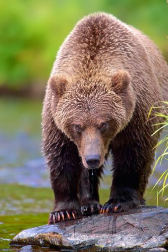 66c61e581634e8a2bf1fdf469cc4c911