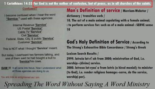 210866108_1426987157676558_1449683867267923995_n