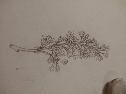 FB_IMG_1625949097513