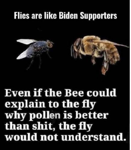 16:29:11 GMT-0500 (CDT).image