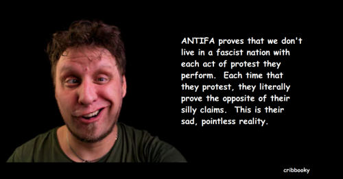 antifa_sad_pointless_reality