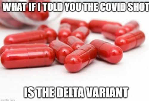 228853150_10222712234747417_1243484524822329624_n