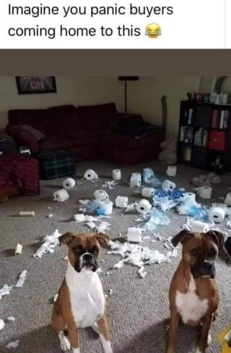 20:40:39 GMT-0700 (PDT).image