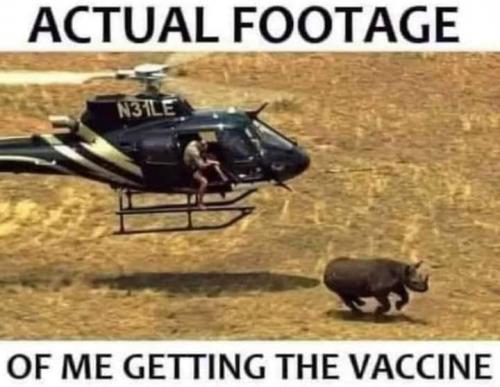 FB_IMG_1627435228727