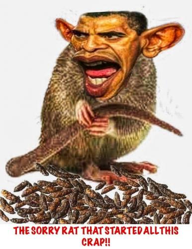 220743619_2264136983729499_1486640459321636357_n