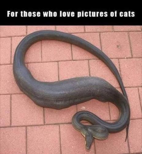 FB_IMG_1627425656253