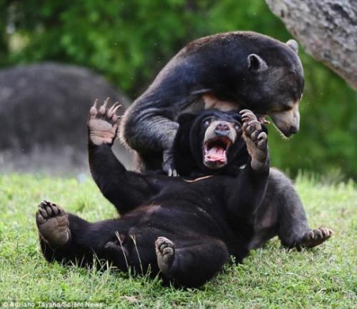 tumblr_dda45404192fb35e961ed20997525c98_4d104acd_540