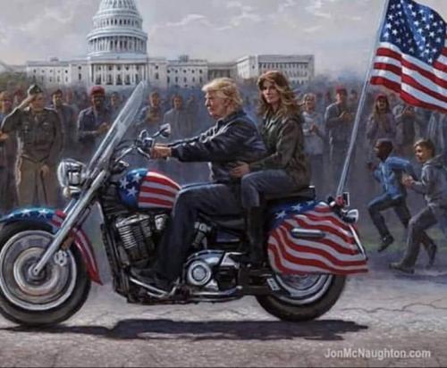 trump harley amer