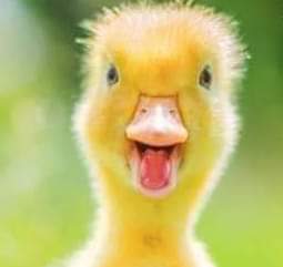 FB_IMG_1626562775200