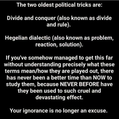 FB_IMG_1626440125224