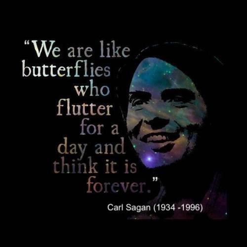 217038278_3692461924187249_761466886531948107_n