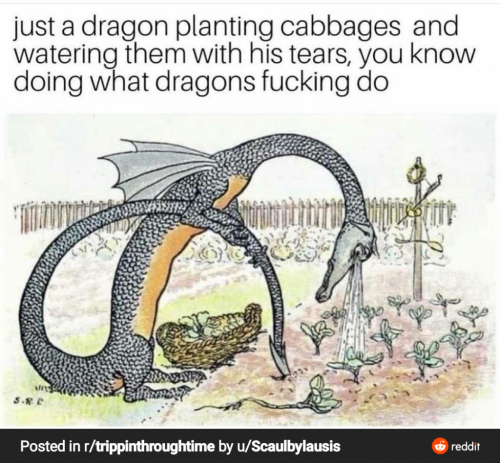 RDT_20210726_2205278591454107049421221