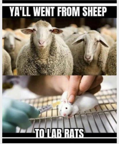 21:25:58 GMT-0400 (EDT).image