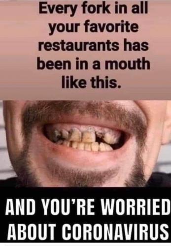 117401288_981647922284898_454642215941426776_n