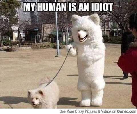 FB_IMG_1625200669457