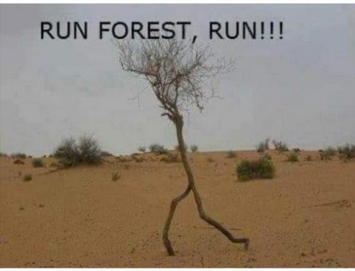 222483168_3113681395526535_1340812408310633020_n