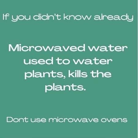 17:04:39 GMT-0400 (EDT)