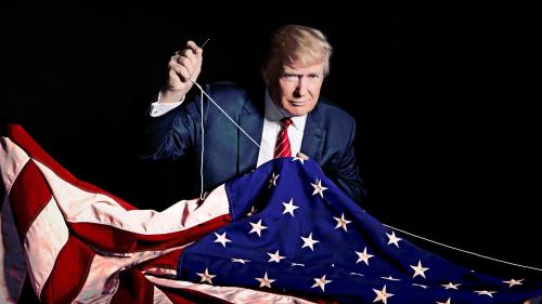 trumpsewingflag