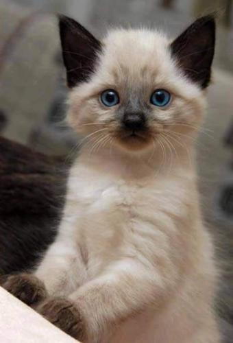 FB_IMG_1623791447592