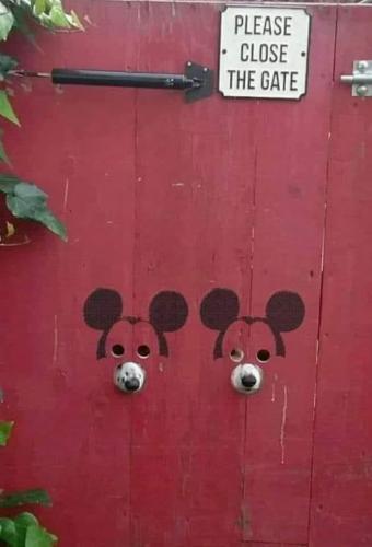 193867511_302876054858383_5426775826570814115_n