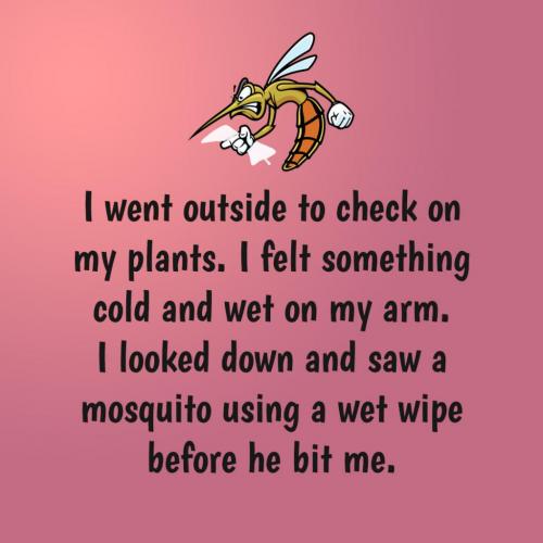 212309095_5999351050082944_867437730500423088_n