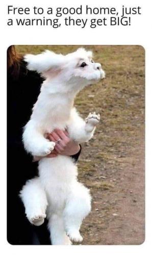 FB_IMG_1625681178070