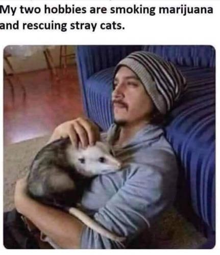 FB_IMG_1627231753589