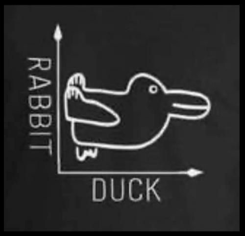 Rabbit-Duck Graph