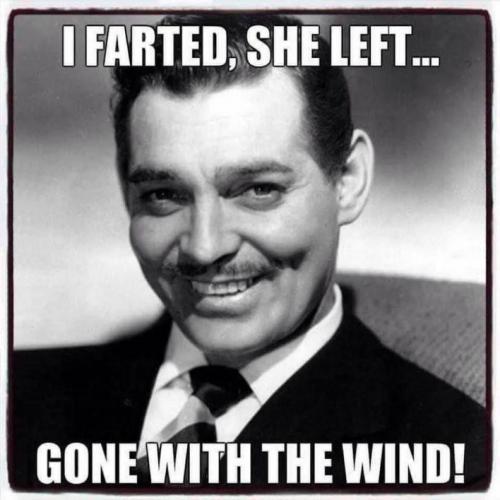 gone with the wind