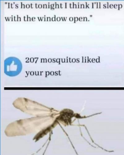 FB_IMG_1627095875189