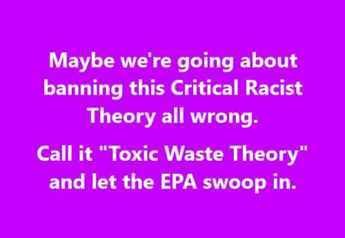 Banning Critical Racist Theory