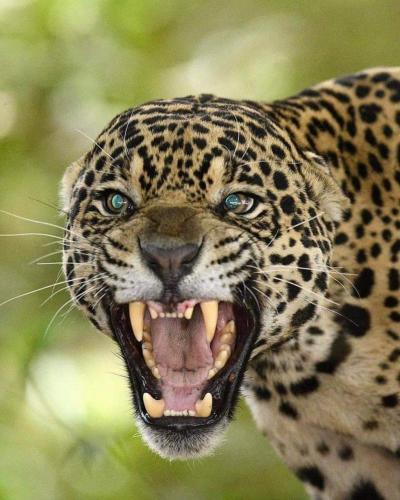 FB_IMG_1627279328742