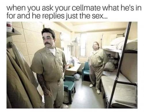 cellmate