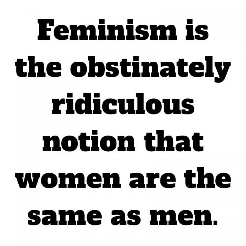 feminism 001