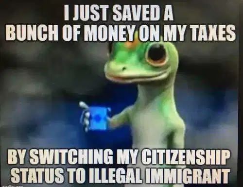 225474049_10218808646623493_6787733632470184416_n