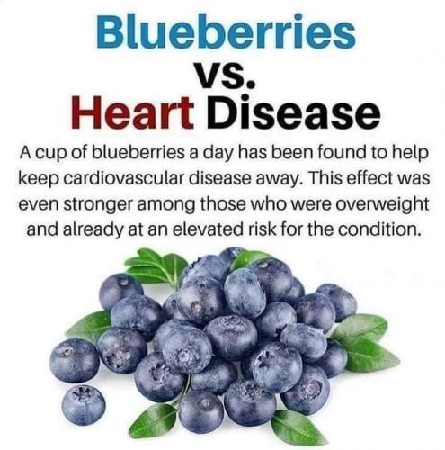 06:42:46 GMT-0600 (MDT)