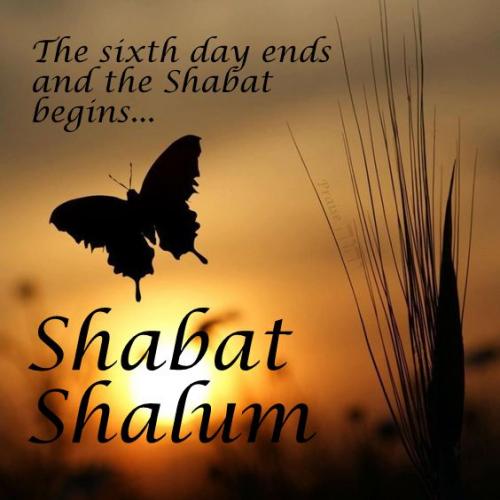 zposted 7 2 21 a482270e879556f10eb3873a83b8bce9