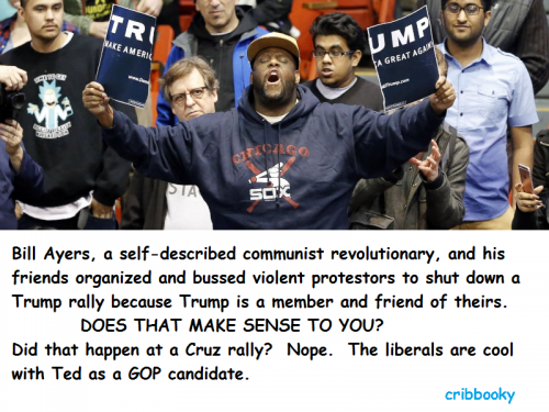 liberals_against_Trump