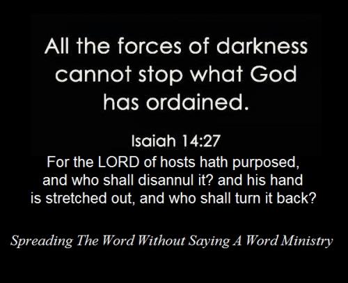 209732113_331991595151094_6352082402359854293_n