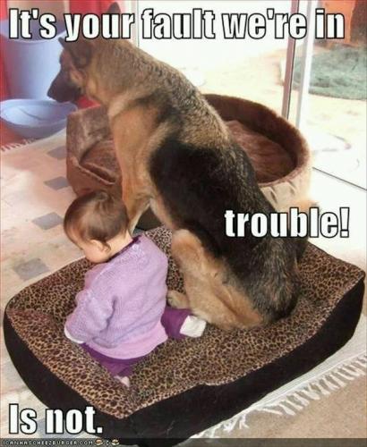 13516596_1558568801104881_8900799540270259219_n