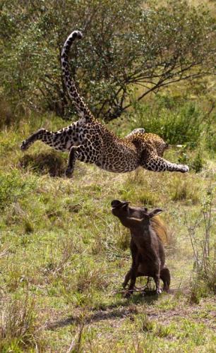 48e7736a956e1af87512a62ce4977691